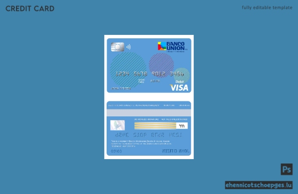 Beispielvorschau der Visa-Karte der bolivianischen Banco Union